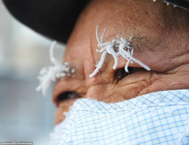 Musim Dingin Terburuk di China