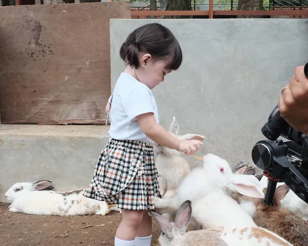 FOTO LIBURAN BABY GEMPI QUENZINO NAIK KUDA BERI MAKAN FOTO LIBURAN BABY GEMPI QUENZINO NAIK KUDA BERI MAKAN