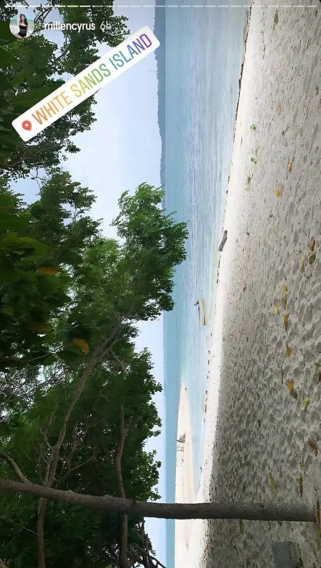 Millendaru Pakai Baju Renang