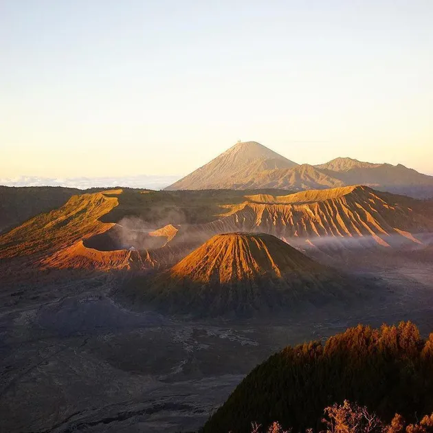 Franda &amp; Samuel Zylgwyn