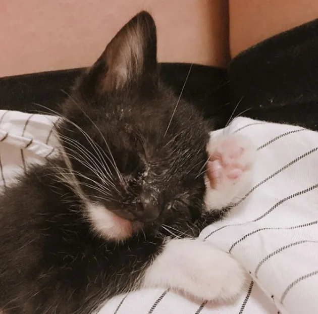 Lucifur