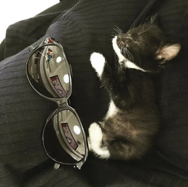 Lucifur