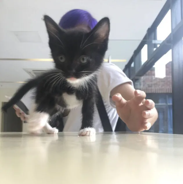 Lucifur