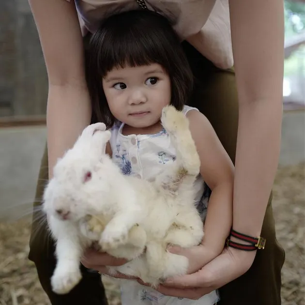 Baby Gempi