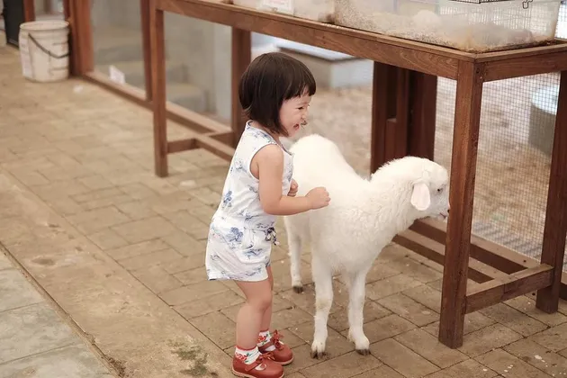 Baby Gempi