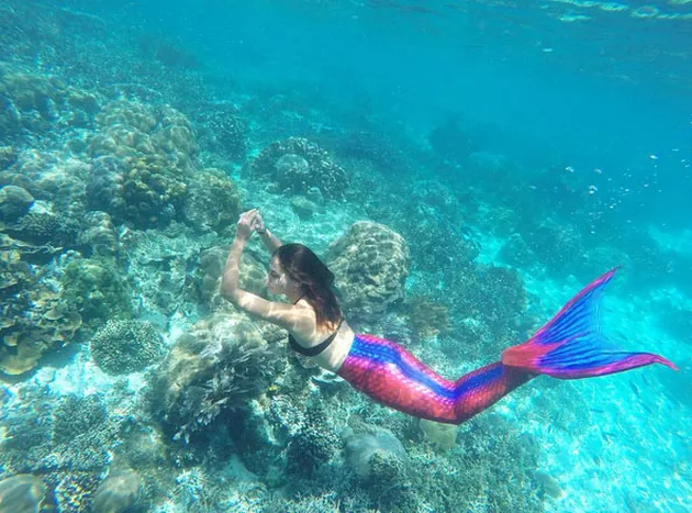 Marissa Nasution