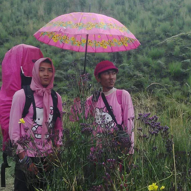 pendaki pink gunung
