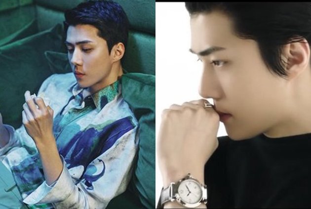 EXO Members' Photos as Ambassadors for Famous Fashion Brands, Their Model Souls are Very Luxurious