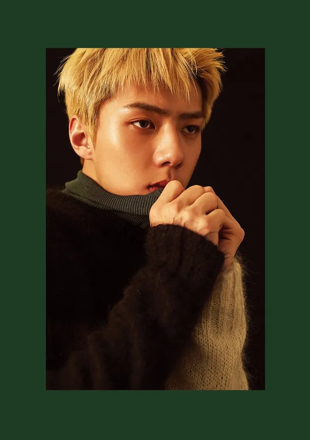 EXO rilis foto teaser untuk album musim dingin