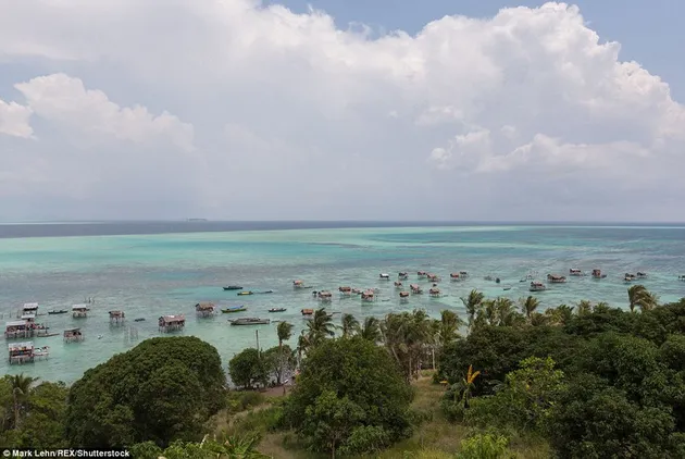 suku nomaden