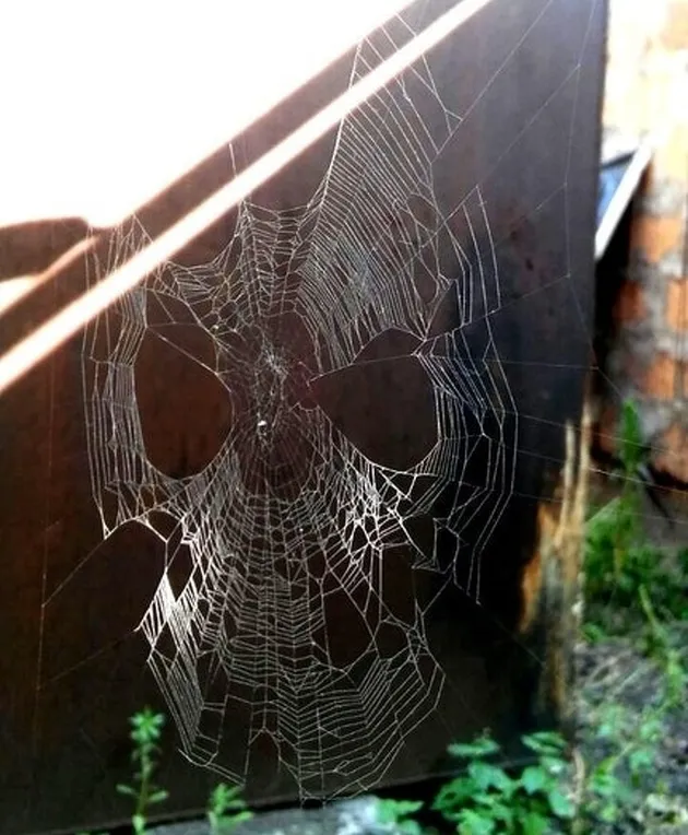 Momen Aneh Yang Terjadi Secara Kebetulan