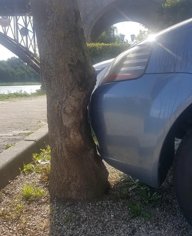 Momen Aneh Yang Terjadi Secara Kebetulan