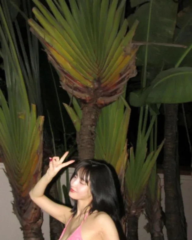 Momo TWICE Pakai Bikini