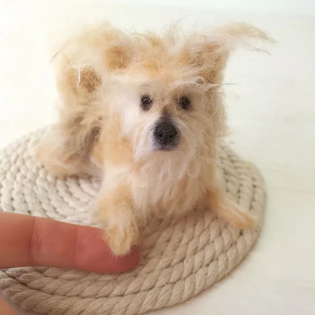 Woolen Puppies