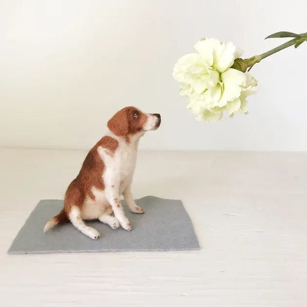 Woolen Puppies