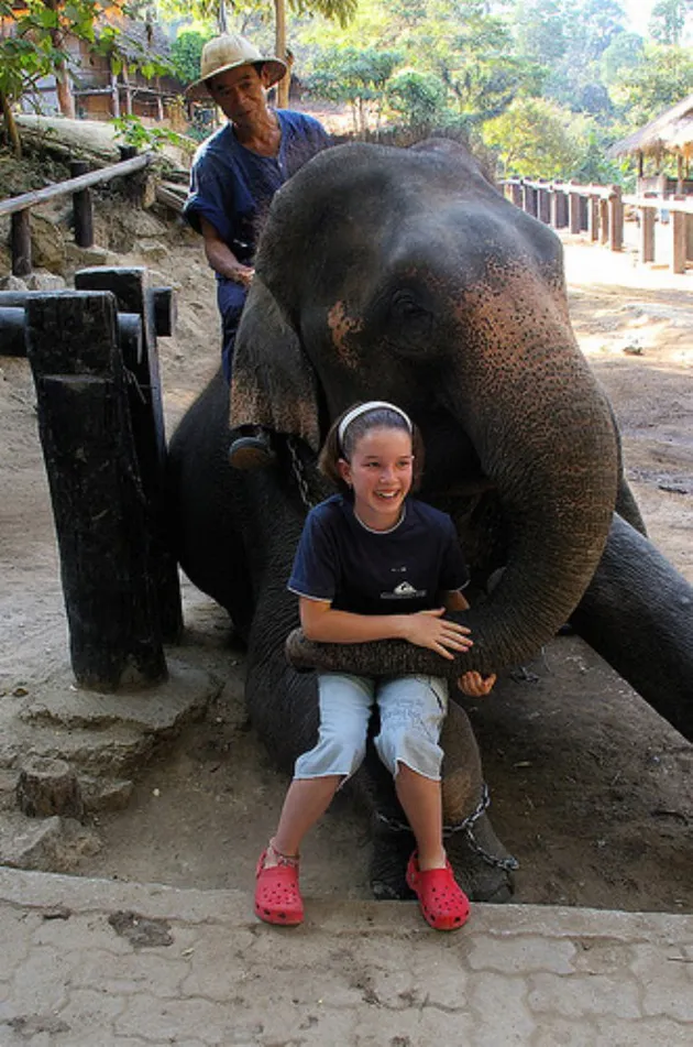 foto binatang - manusia pelukan