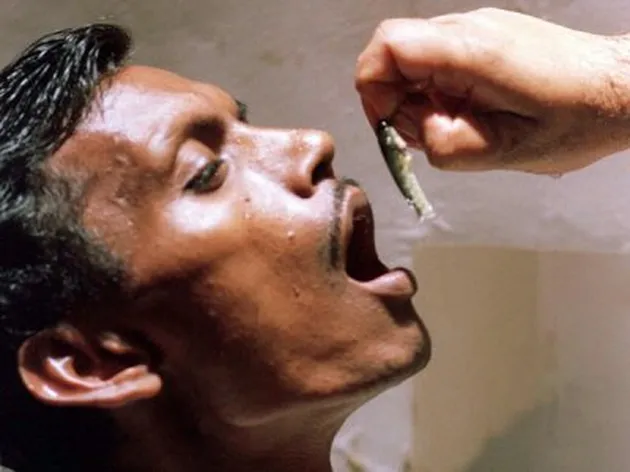 Foto hal gila di India