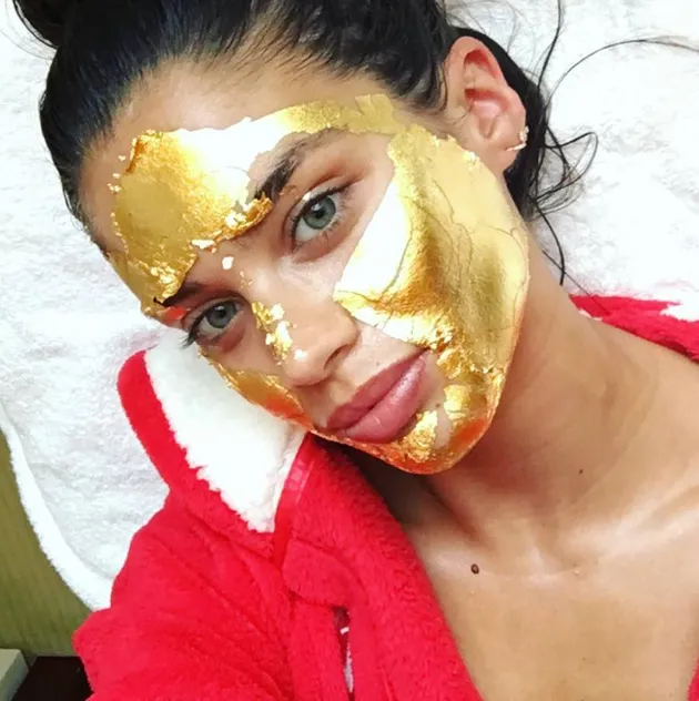 Persiapan Model Sebelum VSFS 2016