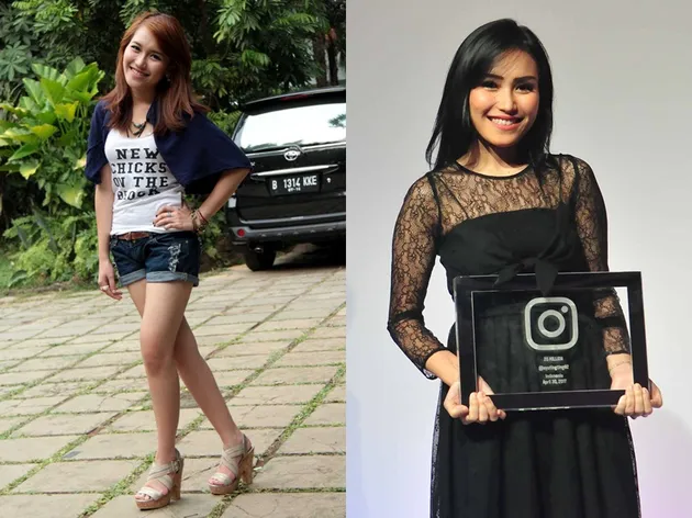 Penyanyi Dangdut Tanah Air