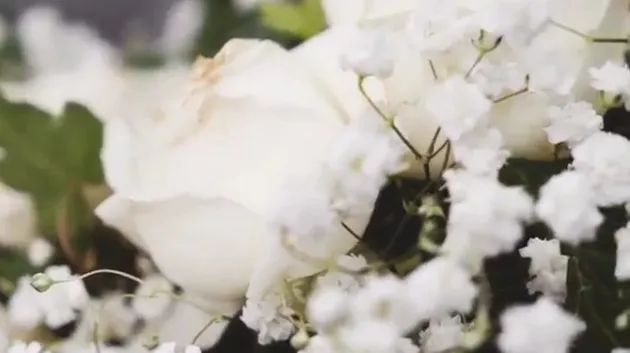 Putri Titian - Junior Liem tunangan