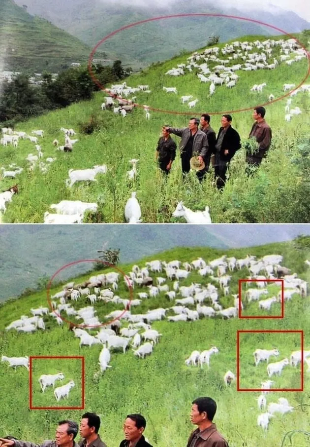 foto photoshop gagal Korea Utara