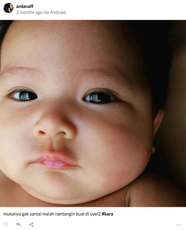 Arda Naff - Tantri Kotak