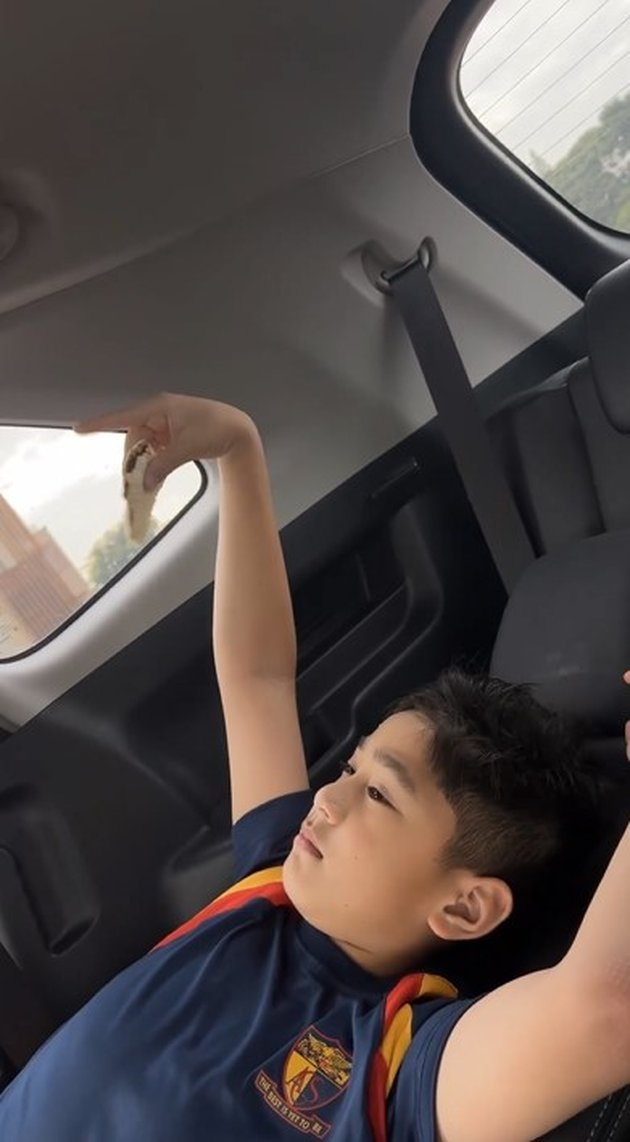 Rafathar's Photos of Having Breakfast and Sleeping in the Car on the Way to School Still Look Good, Going Home for a Walk with Rayyanza