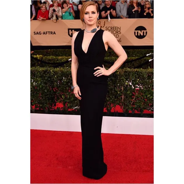 Red Carpet \&#039;SAG Awards 2017\&#039;