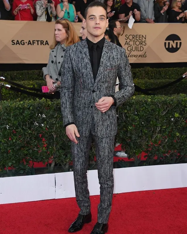 Red Carpet \'SAG Awards 2017\'