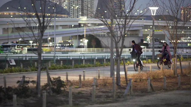 Winter In Tokyo