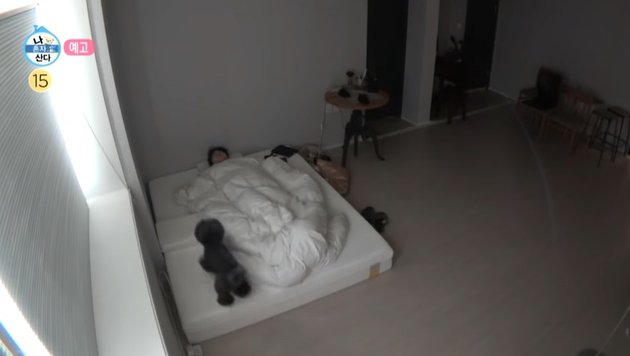 <nil>