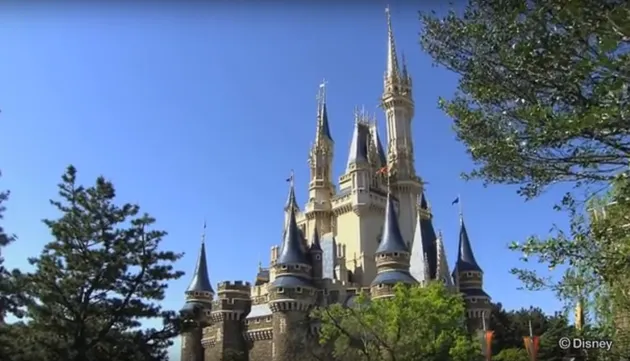 Sandra Dewi - Harvey 