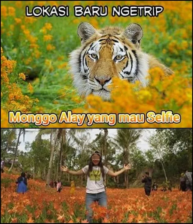 Taman Amaryllis Dirusak ABG Selfie