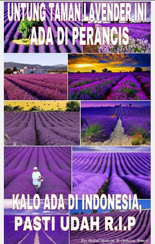 Taman Amaryllis Dirusak ABG Selfie