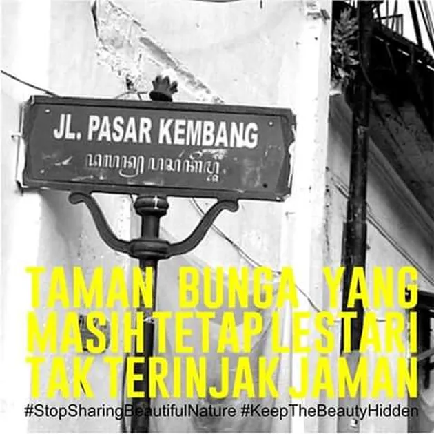 Taman Amaryllis Dirusak ABG Selfie