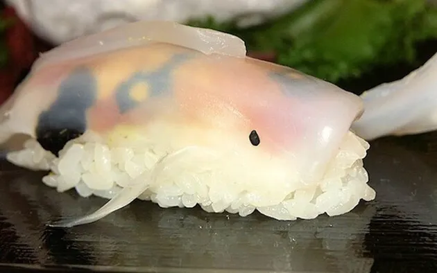 foto sushi berbentuk ikan koi