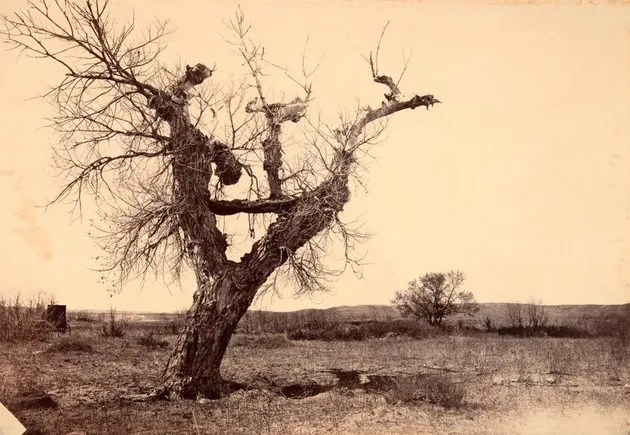 Kematian tradisi