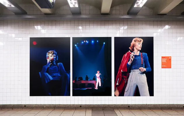 David Bowie