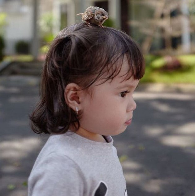 FOTO: WAJAH IMUT DAN LUCU BABY GEMPI SAAT MAIN BURUNG 