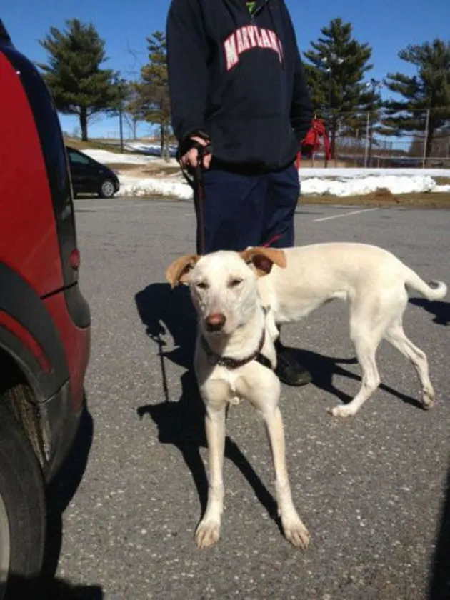 Foto Angle Paling Tepat