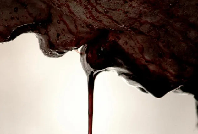 dead snow