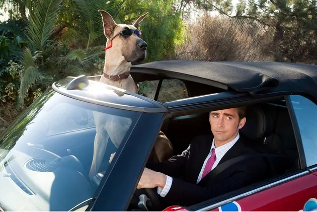 Marmaduke