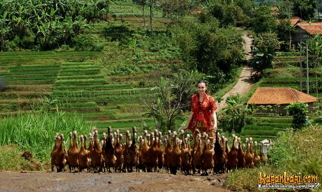 FOTO FOTO ADEGAN FILM KABAYAN JADI MILYUNER KapanLagi com