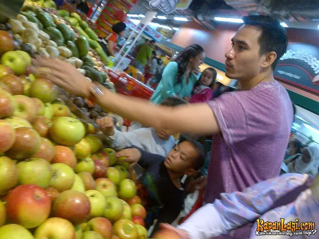 Donna Agnesia - Darius Sinathrya