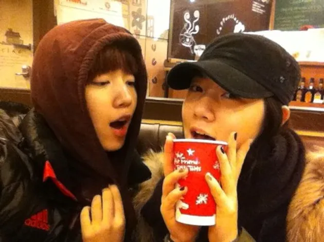 Hwayoung T-Ara