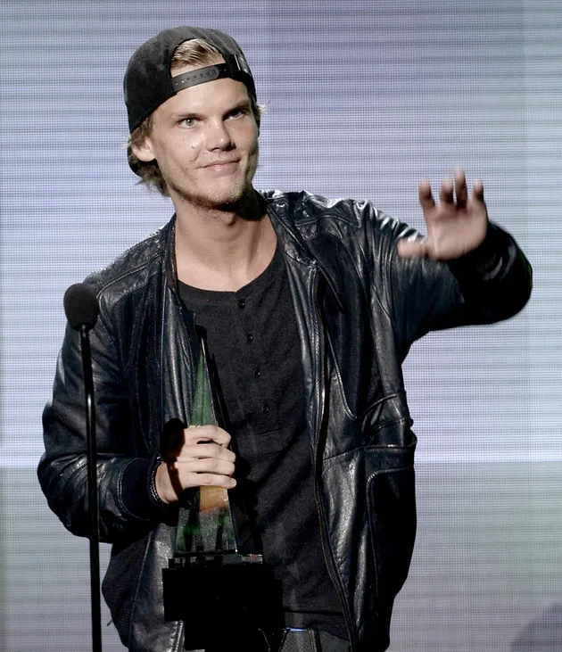 American Music Awards 2013