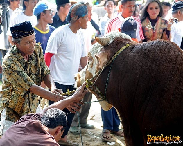 FOTO SERUNYA WALI BAND CIPTAKAN REKOR SATE TERPANJANG - 10 