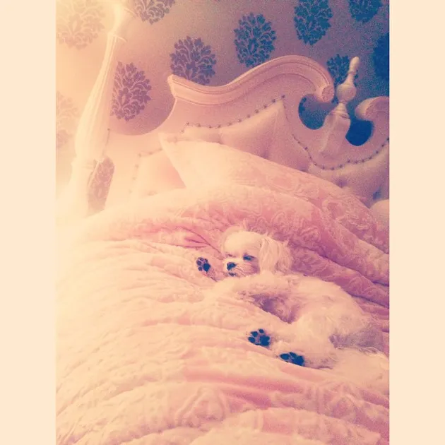 Tiffany Girls Generation