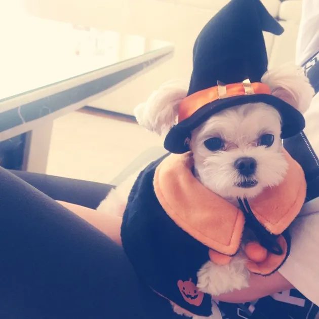 Tiffany Girls Generation