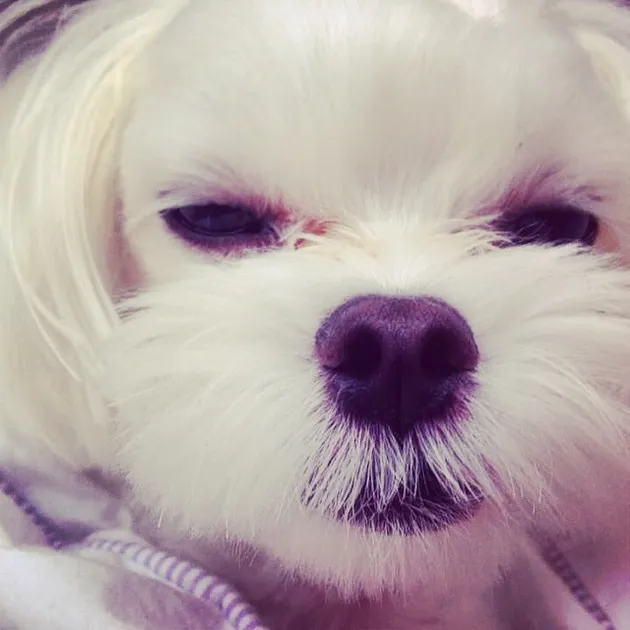 Tiffany Girls Generation